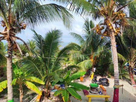 Posada Nativa Three Brothers Buenavista  エクステリア 写真